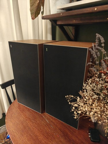 Bang olufsen beovox - bang, 3700